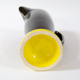 Pitcher