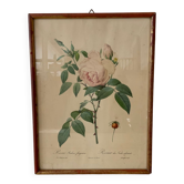 Flower engraving