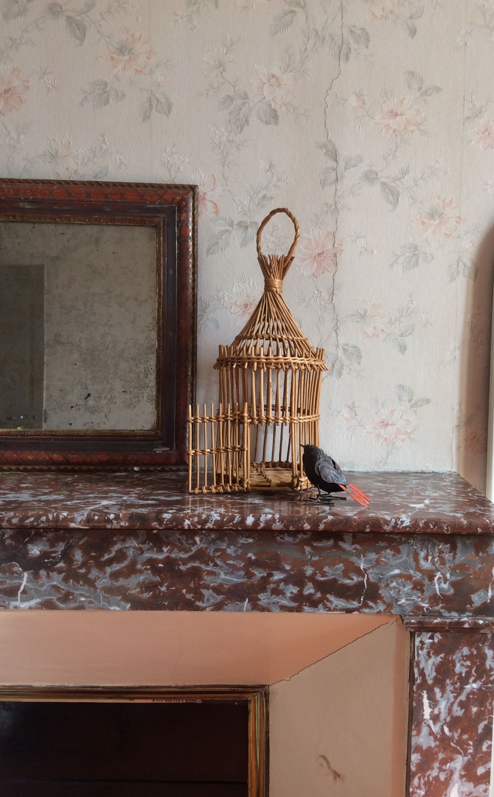 Vintage bird cage in rattan