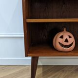 Danish teak bookcase