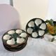 Green and white slip oyster plates