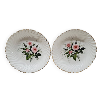 Pair of pink and gypsophila plates