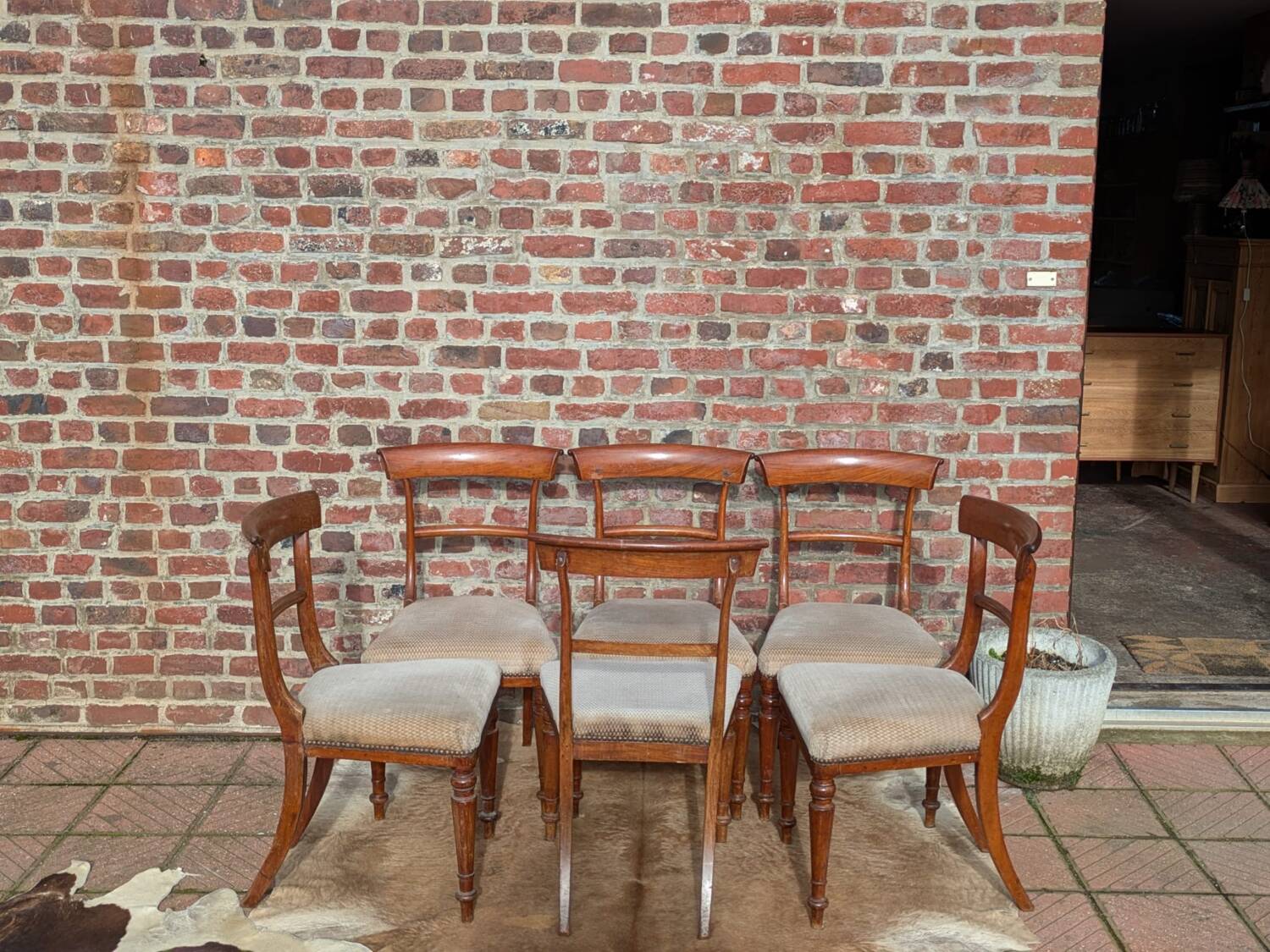 Set of mahogany chairs