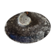 Empty fossilized marble pocket
