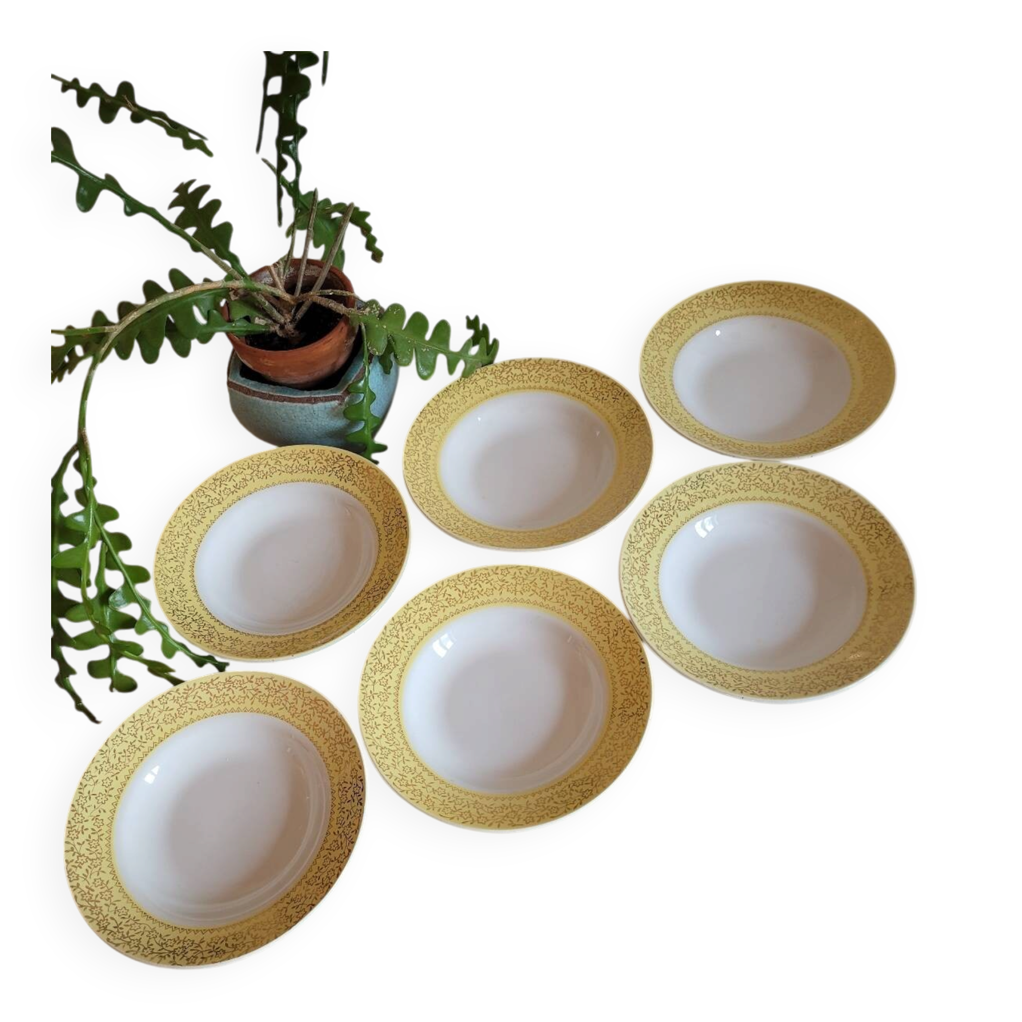 Set of 6 deep plates Badonviller