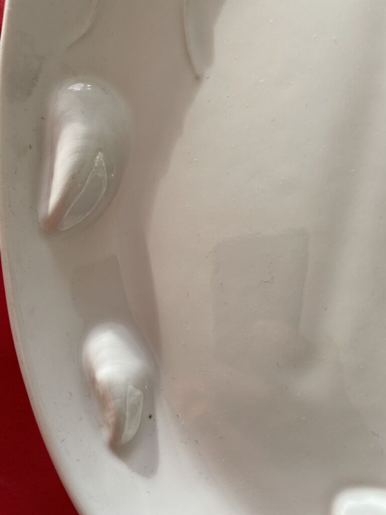 Large dish decorated with shellfish