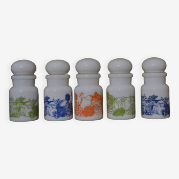 Set of 5 colorful spice jars