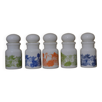 Set of 5 colorful spice jars