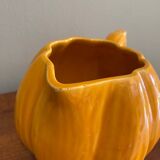 Pumpkin pitcher