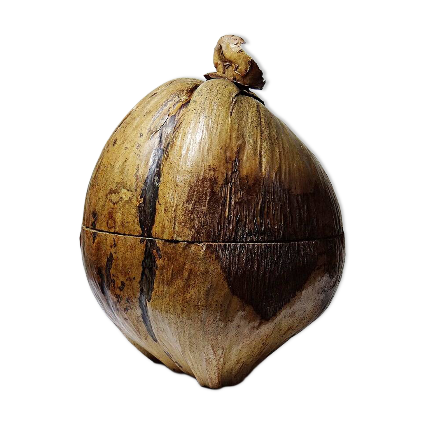 Large box/ice bucket curiosity Naturalised African Coconut vintage