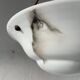 Art Deco suspended lamp in white marble-effect glass, 1940s, Germany.