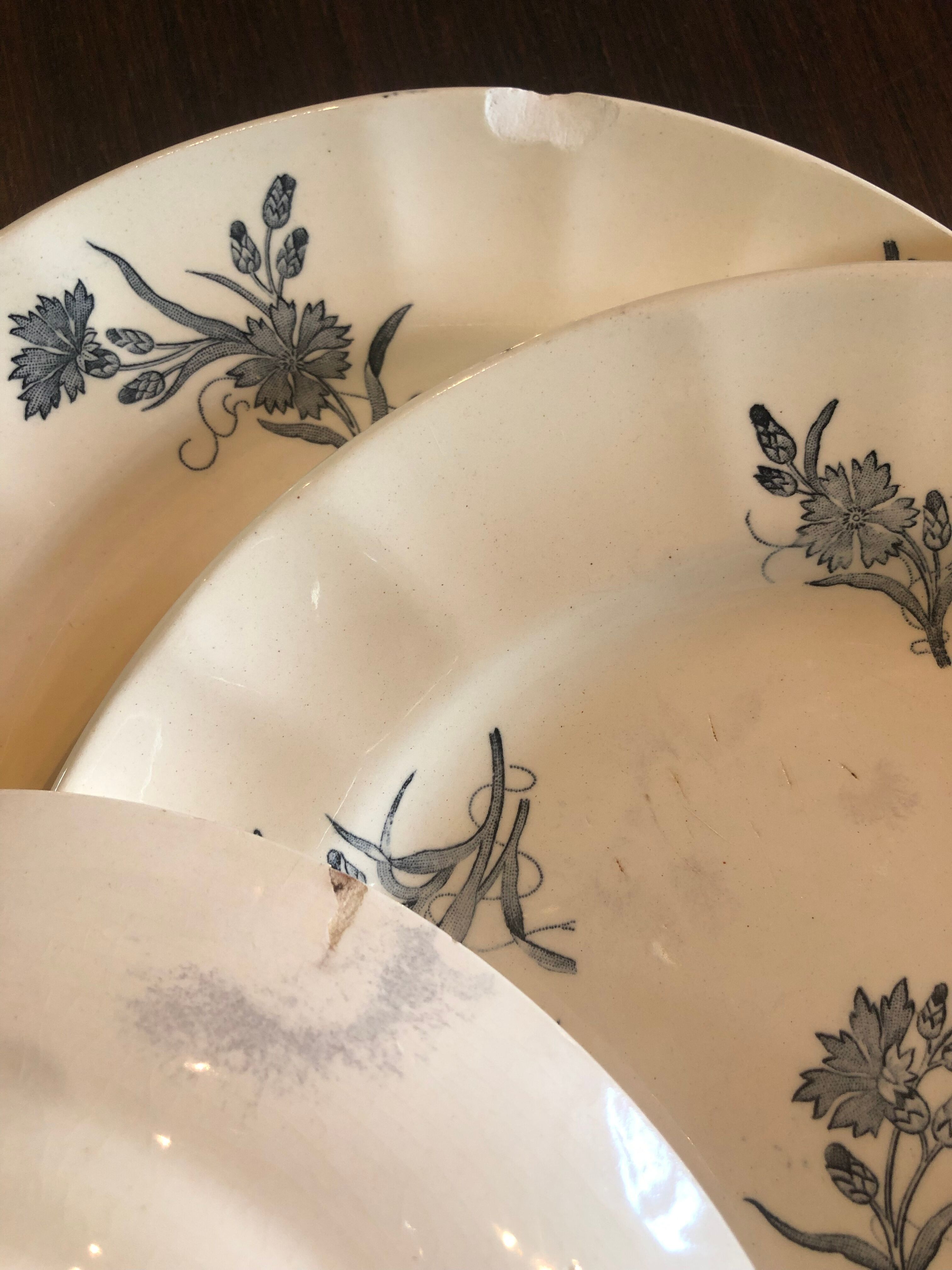 Lot de terre de fer Longchamp modèle Bluets