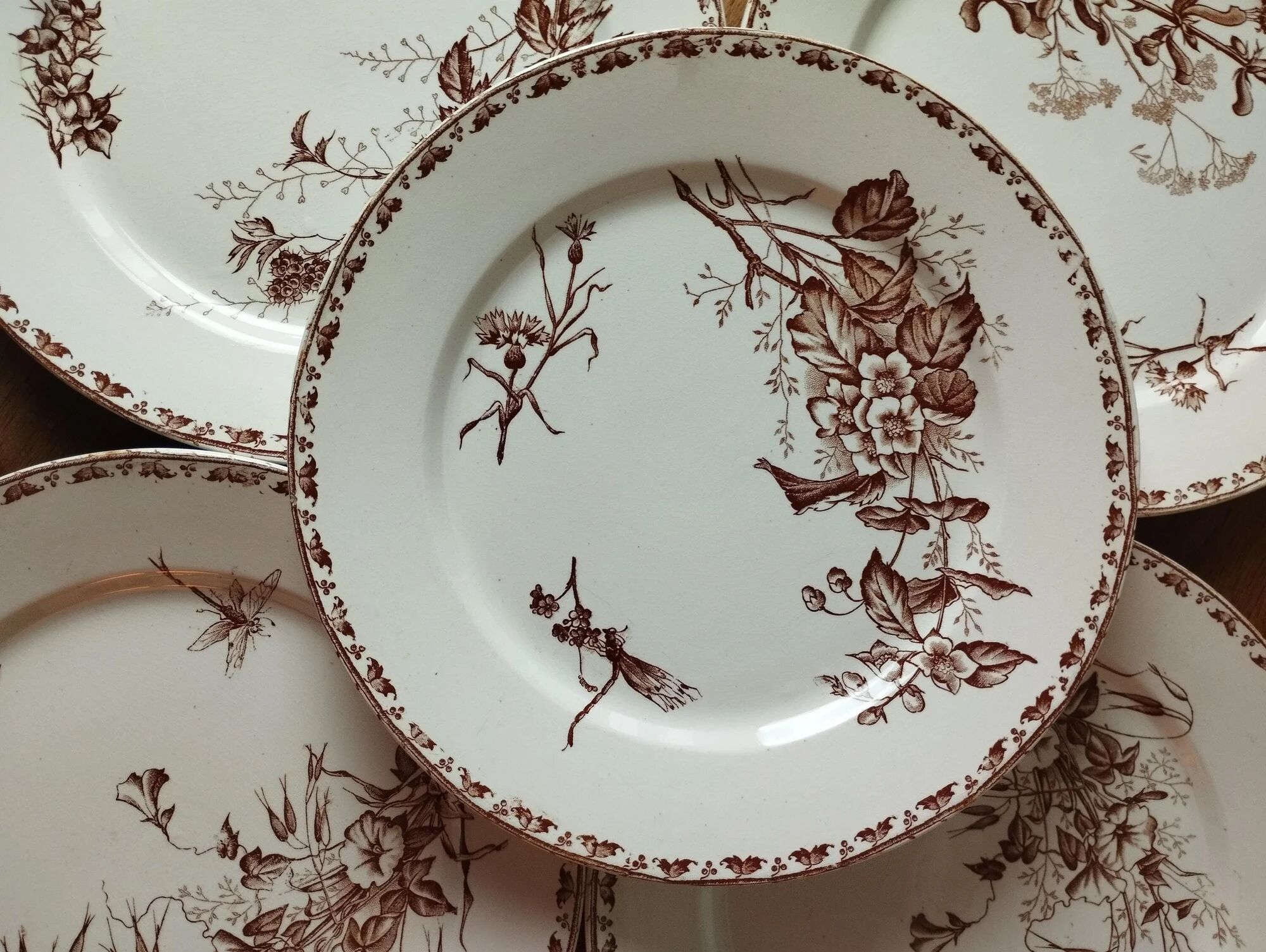 "Carmen" - 5 flat plates ø 23.5cm ironstone Sarreguemines U&C