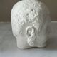 Plaster head of a man