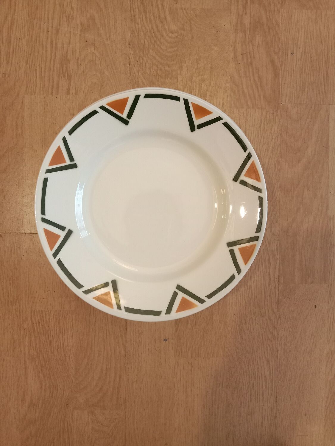 12 flat plates salins-les-bains