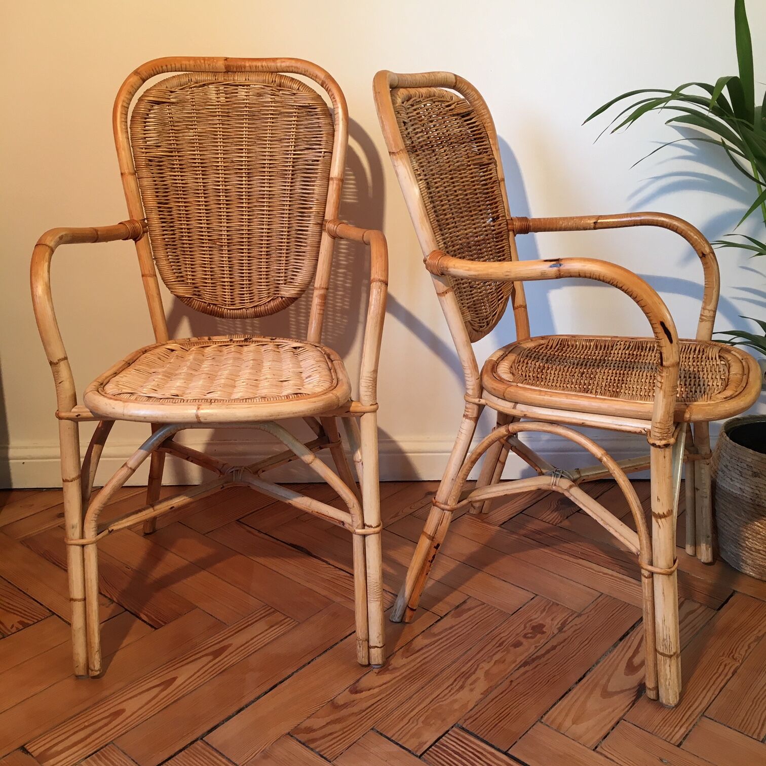 Pair of light rattan chairs