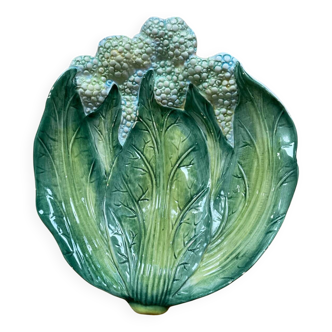 Coupe barbotine feuille de choux