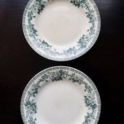 Antique ironstone plate from Saint-Amand – Guadeloupe model