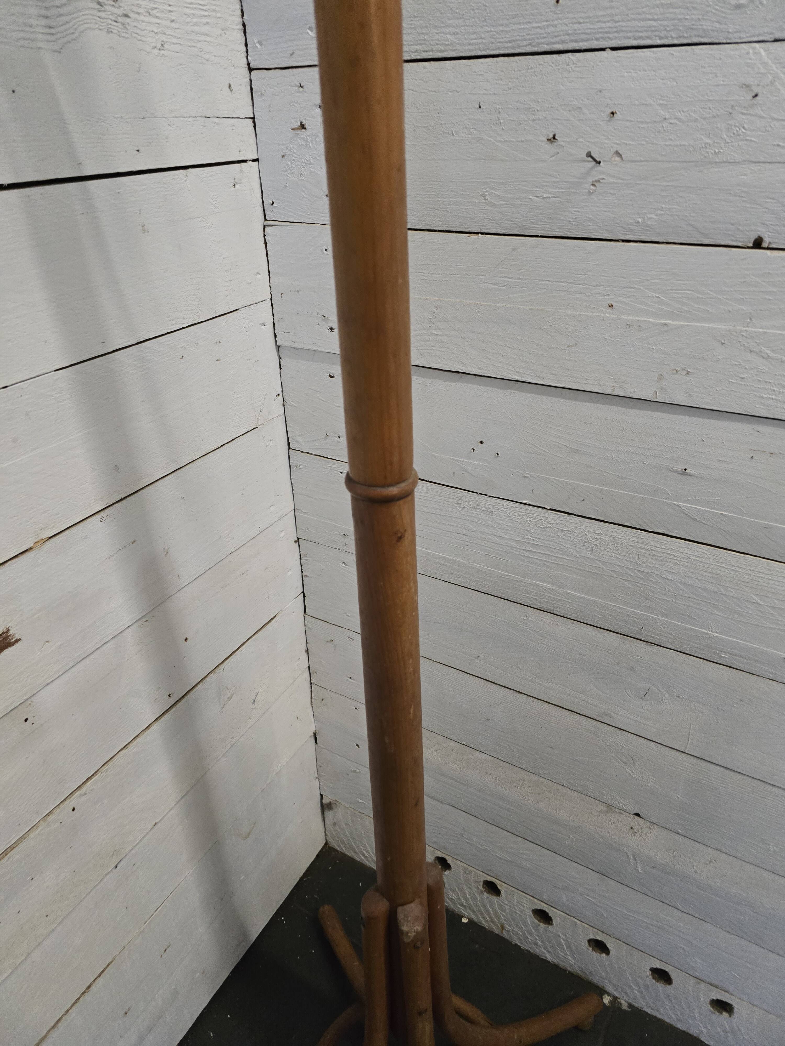 Parrot coat rack in curved wood