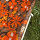 Old vintage flower deckchair