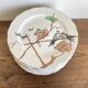 set de 12 assiettes polychrome 1850 ondulées Brownfield England oiseaux
