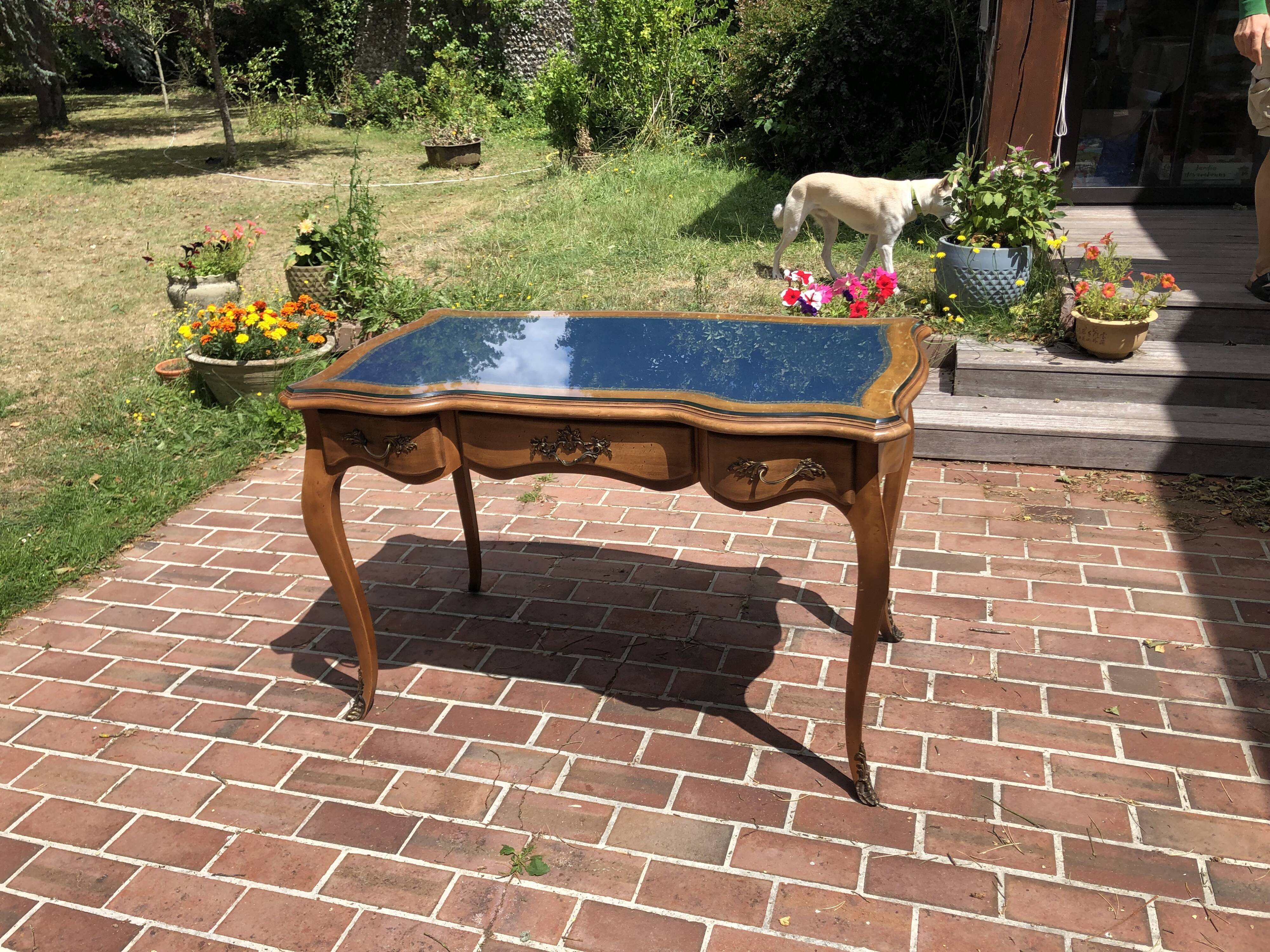 Louis XV style office