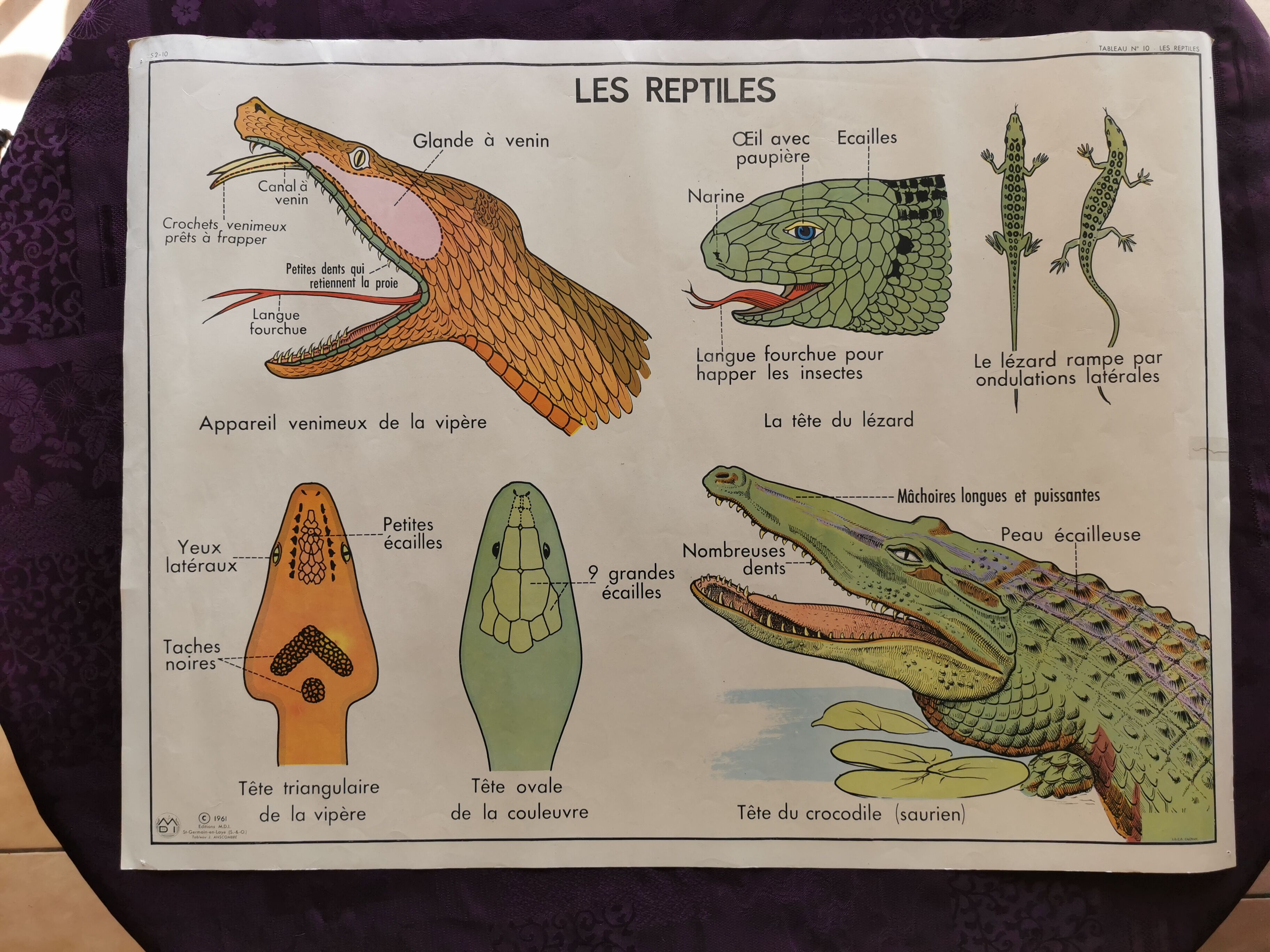 Old educational school poster