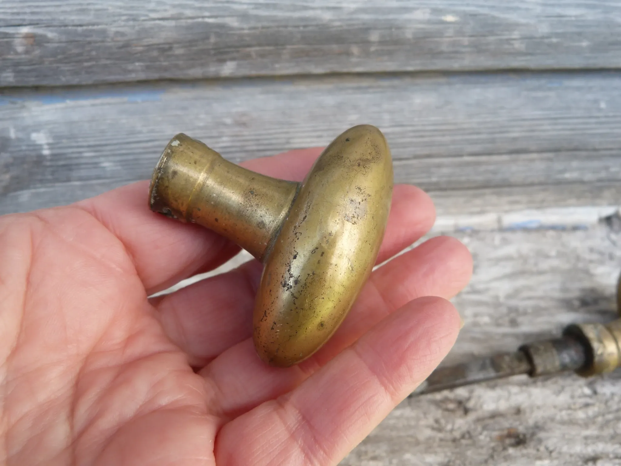 Antique gilded brass door handle