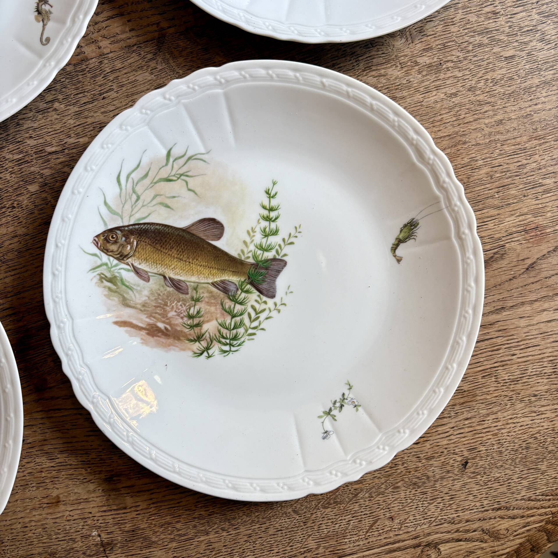 Set of 10 antique flat plates in porcelain, decorated with fish.