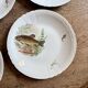 Set of 10 antique flat plates in porcelain, decorated with fish.