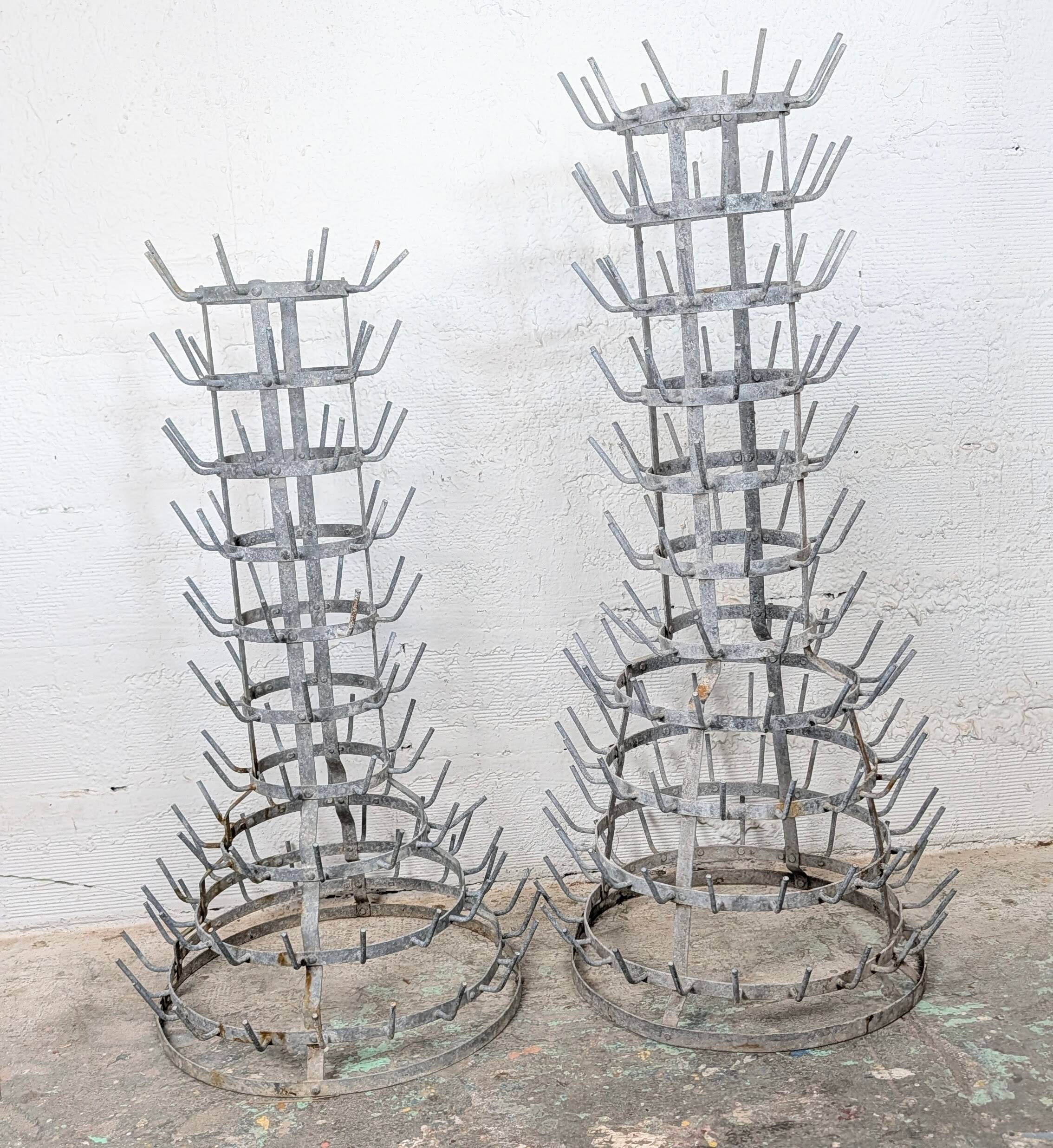 Hedgehog or bottle tree