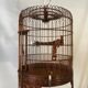 Cage Asia (Vietnam)