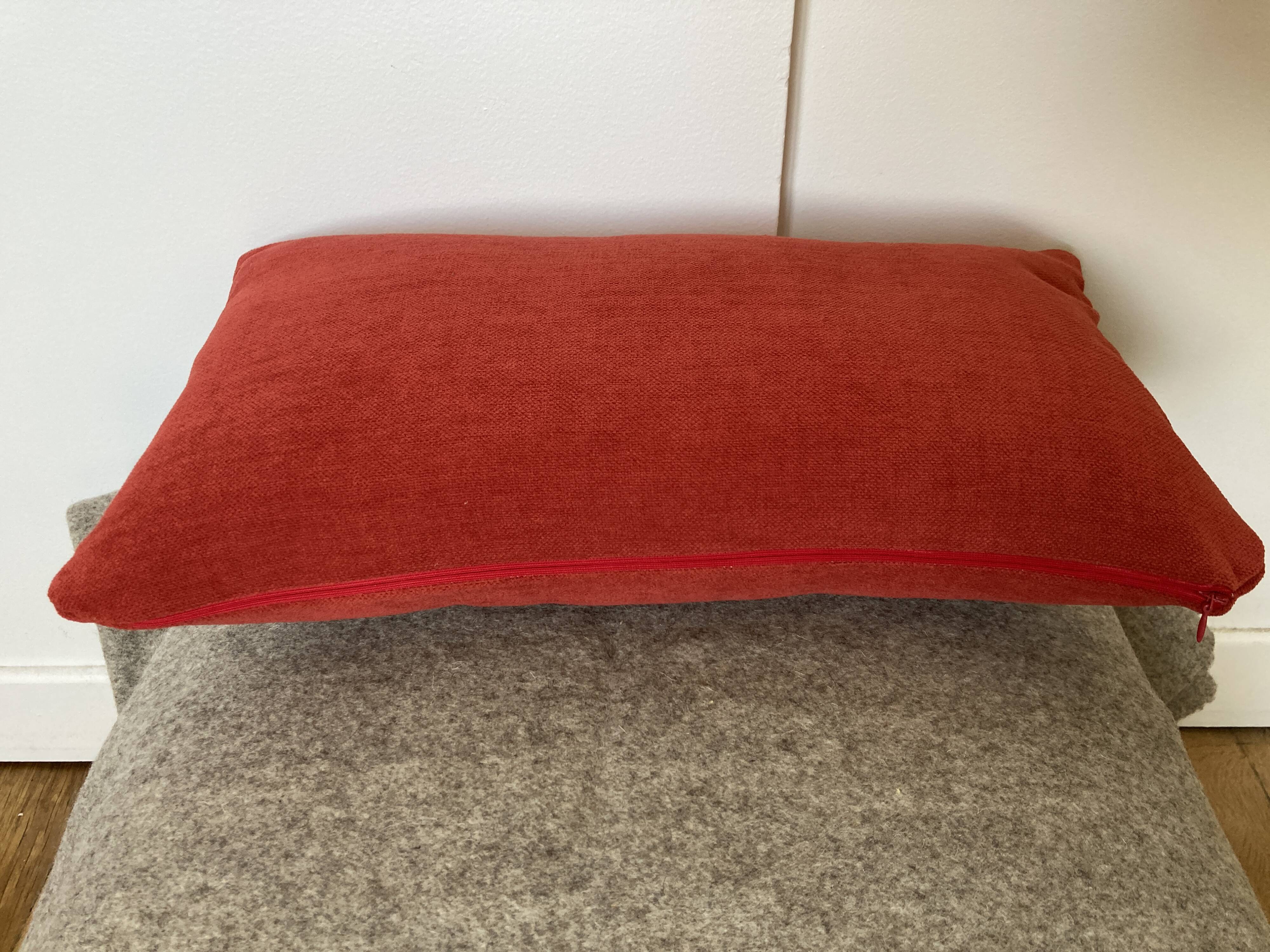 Aqua Clean Red Cushion