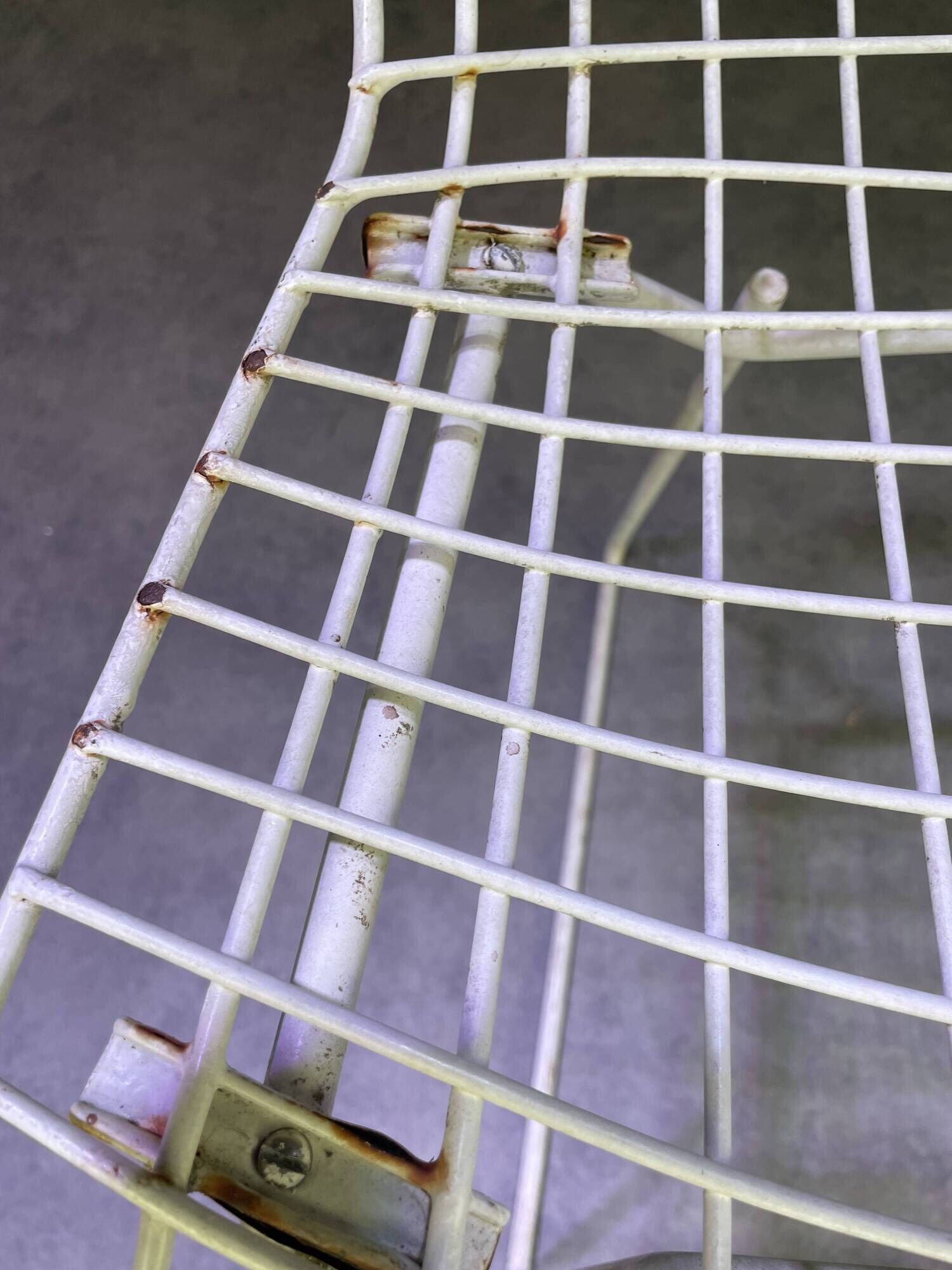 Pair of white lacquered Bertoia chairs