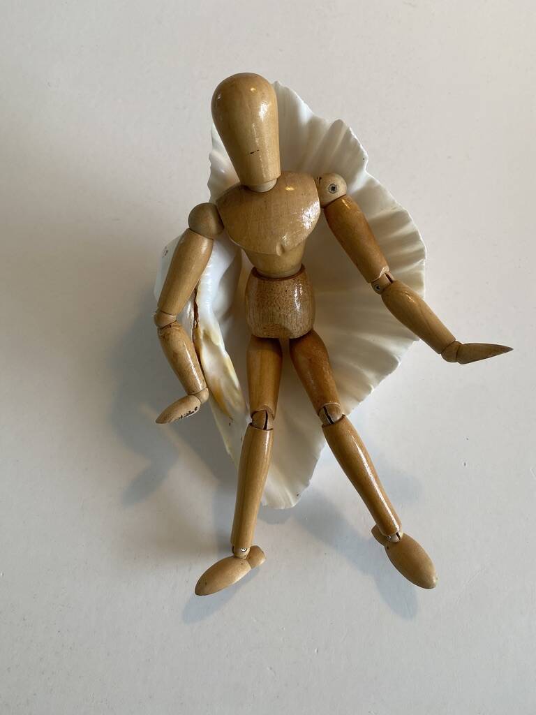 Holy water clam shell - 23x15x6 cm - Natural - 1000g