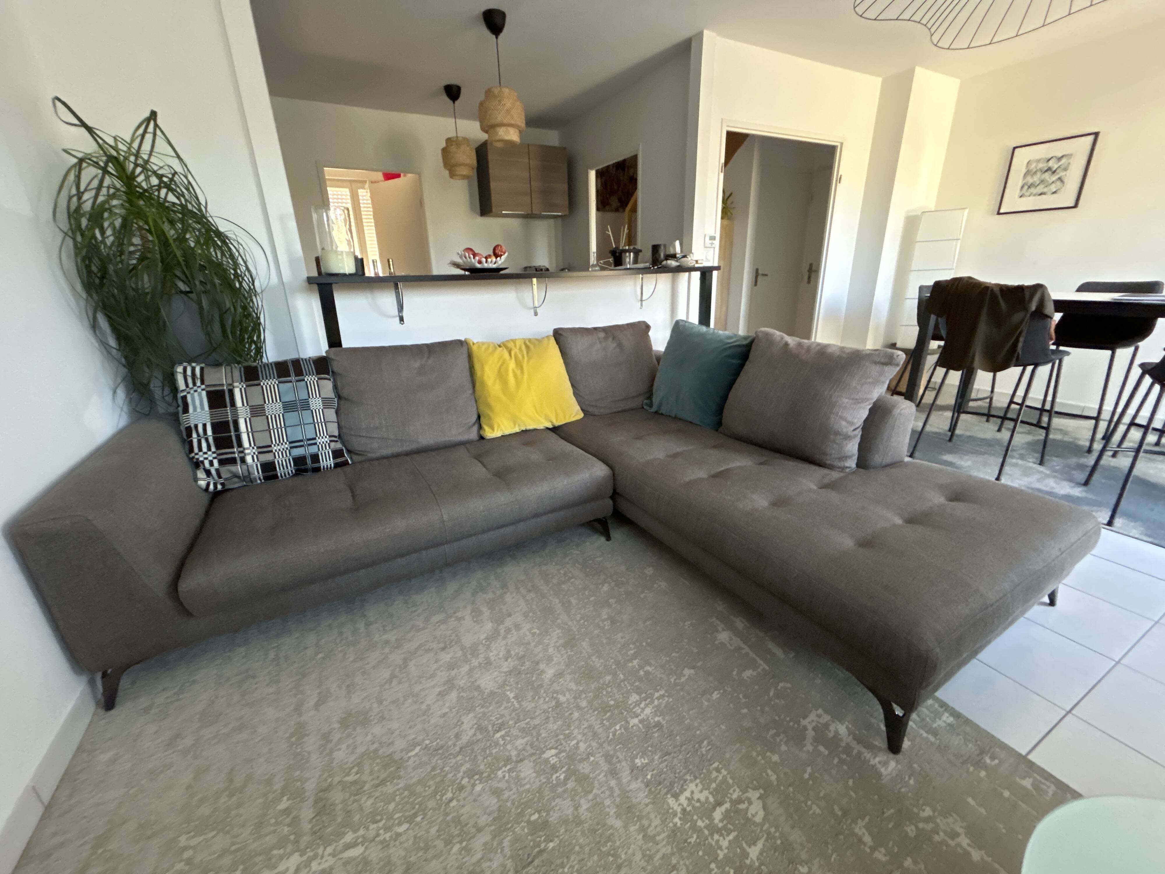 Canapé Roche Bobois