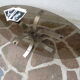 Table basse verre fumé pied aluminium brossé