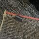 Tapis Nobilis