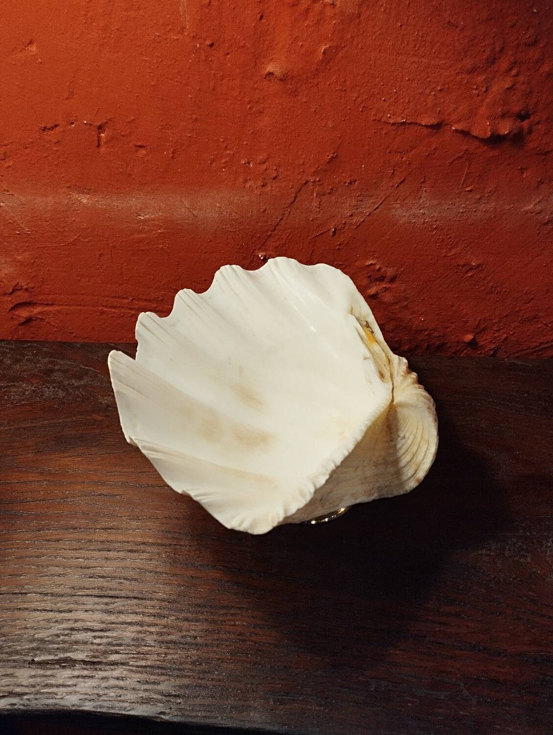 Shell on base, holy water font