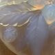 Cesari France opalescent glass bowl