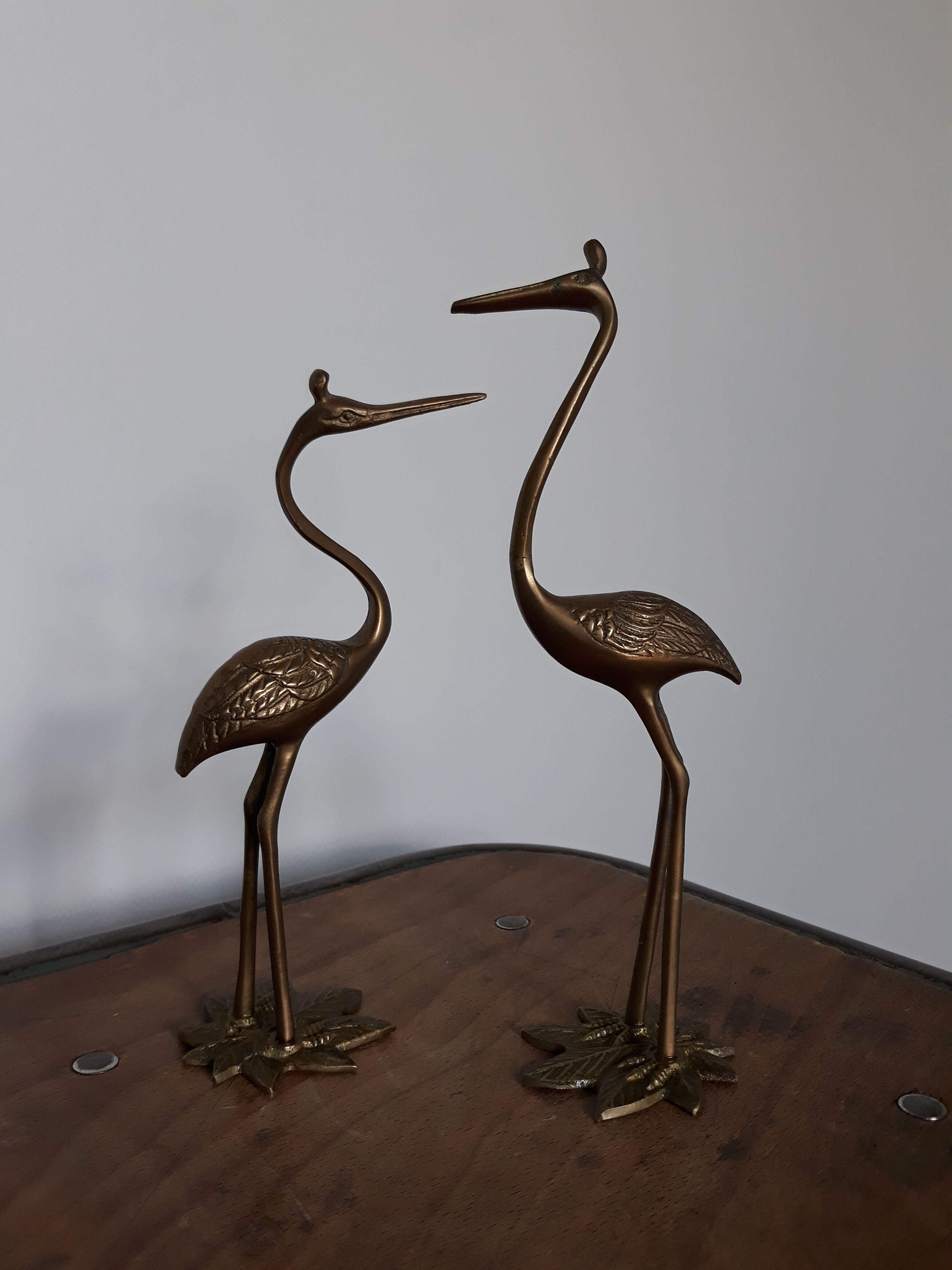 Herons or brass wader birds