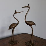 Herons or brass wader birds