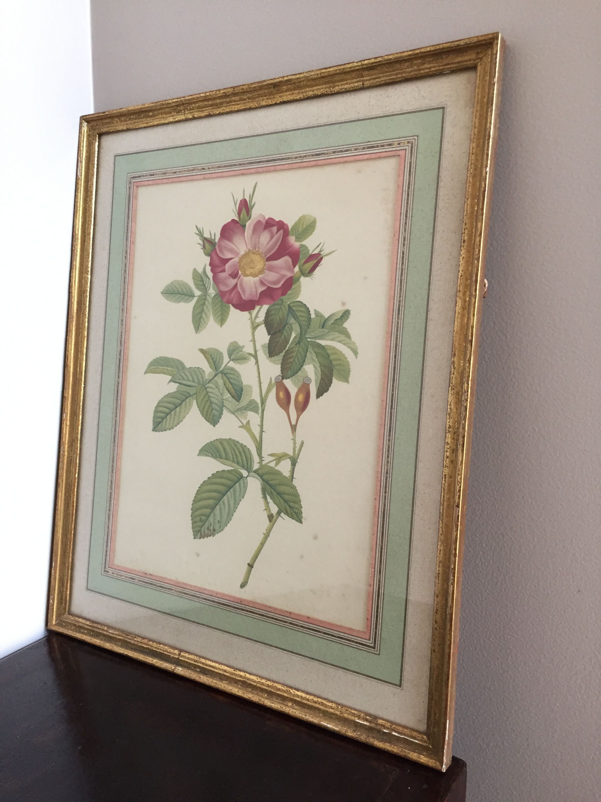 Old framed pink lithograph board