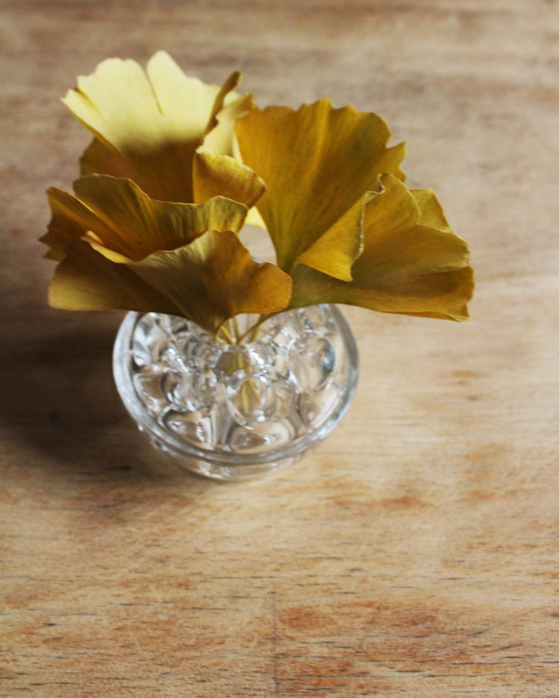 Pique fleurs 9 trous soliflores