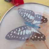 Pair of vintage butterfly frames
