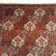 Handmade Persian Bachtiar rug 288x201cm