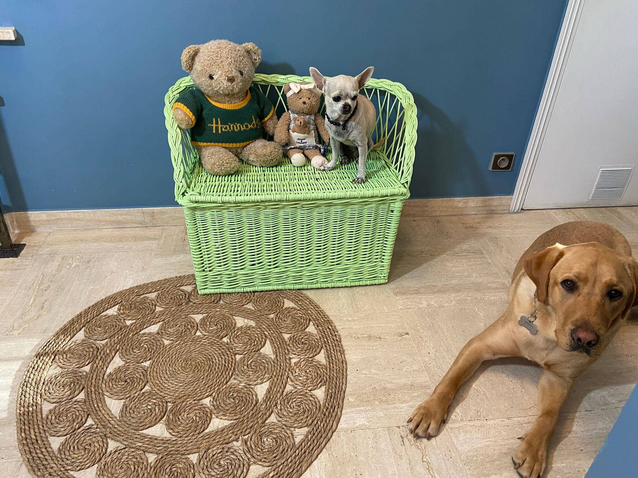 Vintage rattan bench toy chest