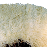 Large EVENTAIL in ostrich feather and scaled frame, nineteenth