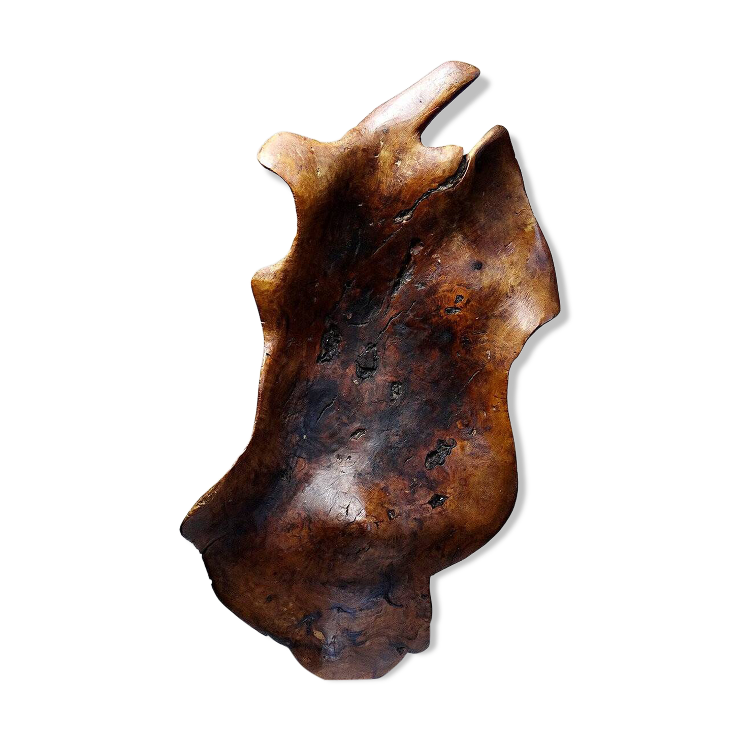 Large monoxyle bowl made of dark raw olive wood from the 1950s.