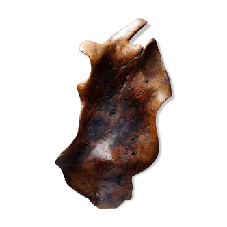 Large monoxyle bowl made of dark raw olive wood from the 1950s.